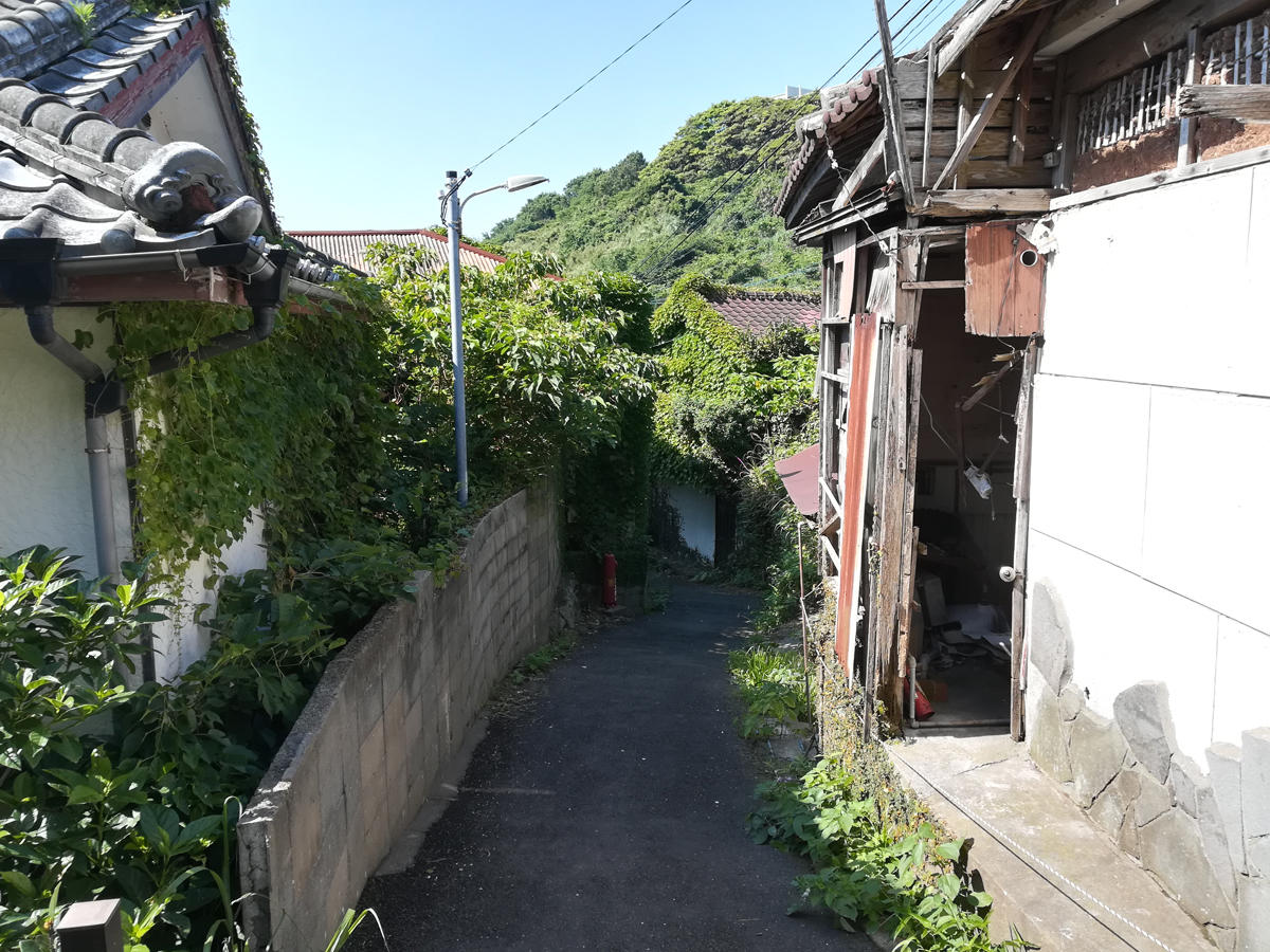 20180527_36.jpg